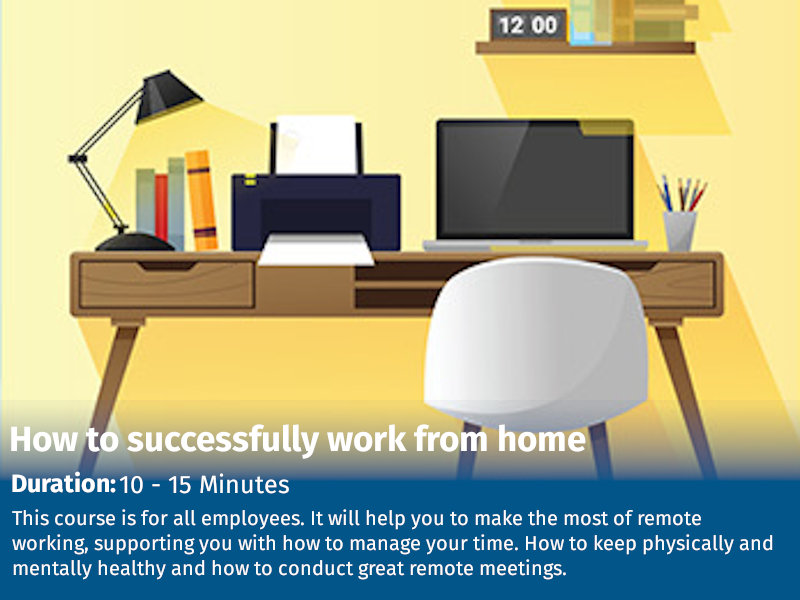How to successfully work from Home