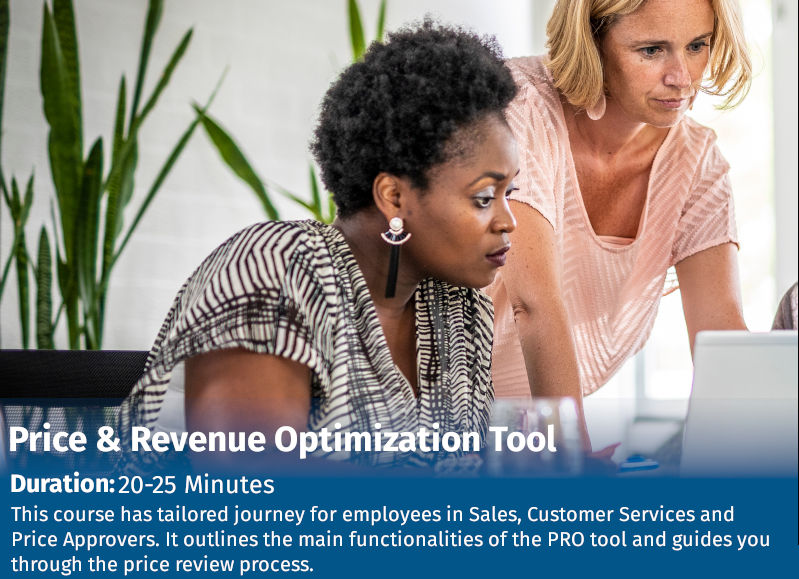 Price & Revenue Optimization Tool