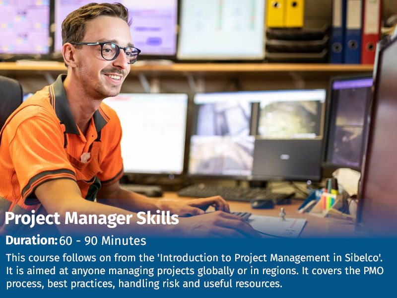 Project Manager skills